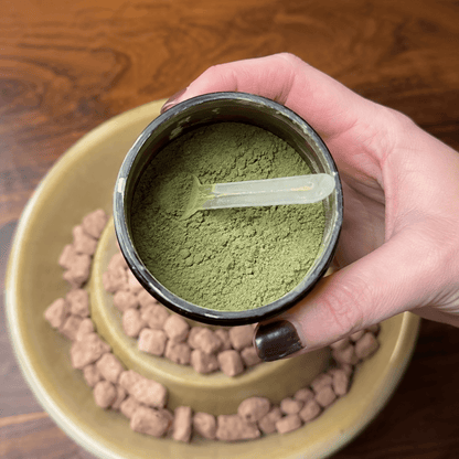 FreshBite Daily Oral Care Powder